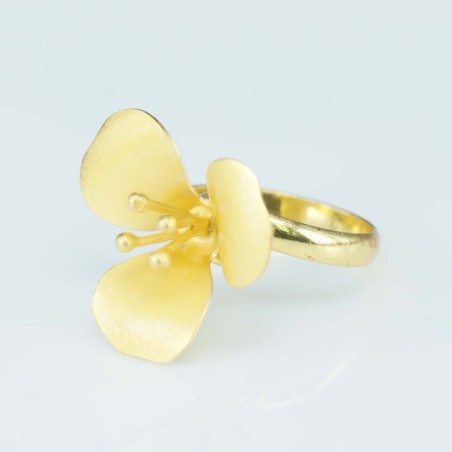 Ring 21mm. Gold Plain size 6