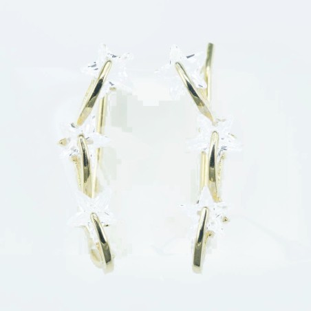 Earring Star 5x21mm. Circonia gold