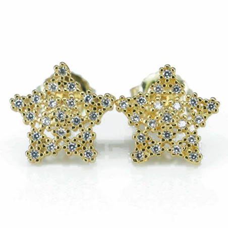 Earring Star 11mm. Circonia  Gold