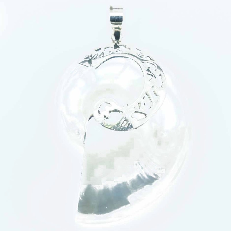 Pendant Nautilus 39x52mm. Shell