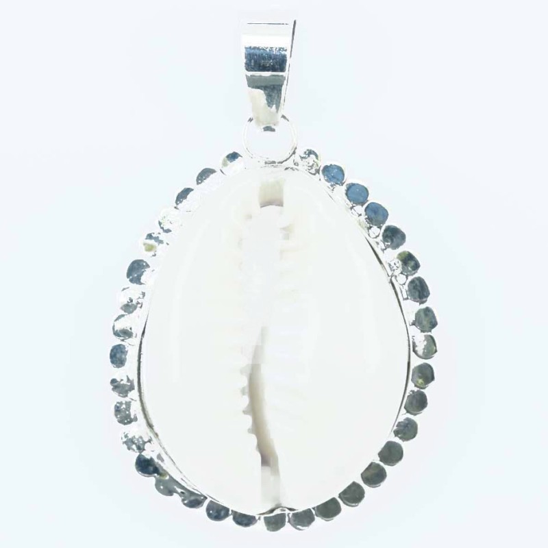 Pendant Nautilus 22x30mm. Shell