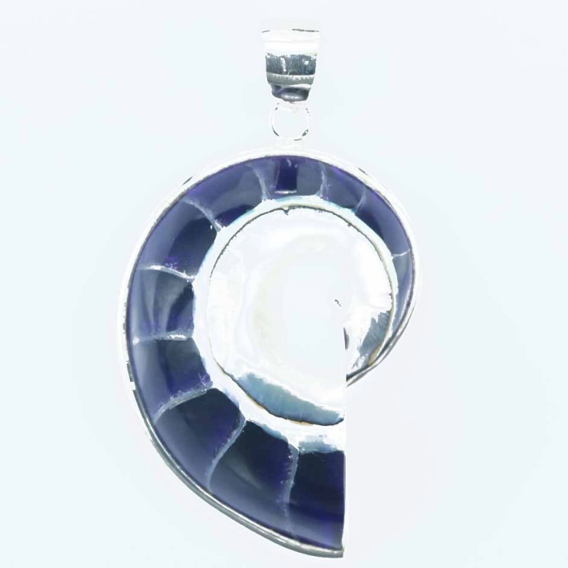 Pendant Nautilus 26x40mm. Shell