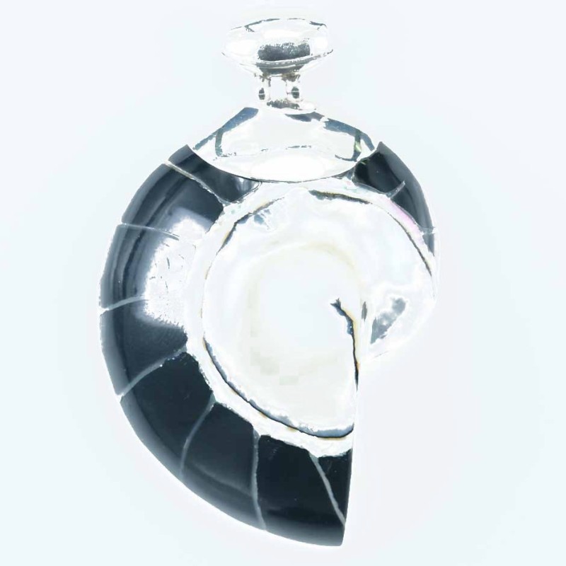 Pendant Nautilus 35x55mm. Shell