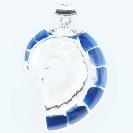 Pendant Nautilus 35x57mm. Shell