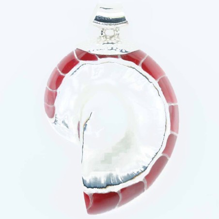 Pendant Nautilus 34x58mm. Shell