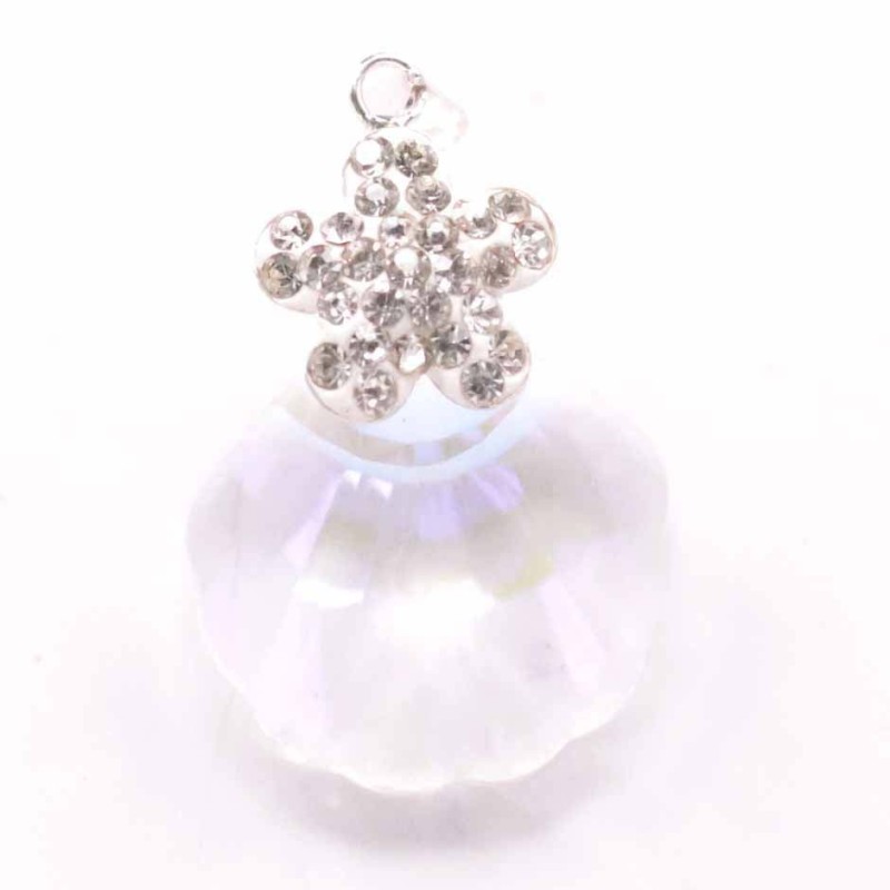 Pendant suaros.A shell with flower crystal