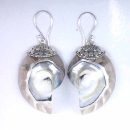 Earring Nauthilus Shell Clear Color