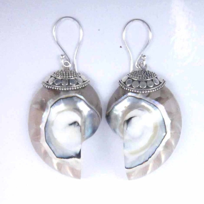 Earring Nauthilus Shell Clear Color