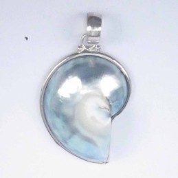 Pendant nauthilus small grey