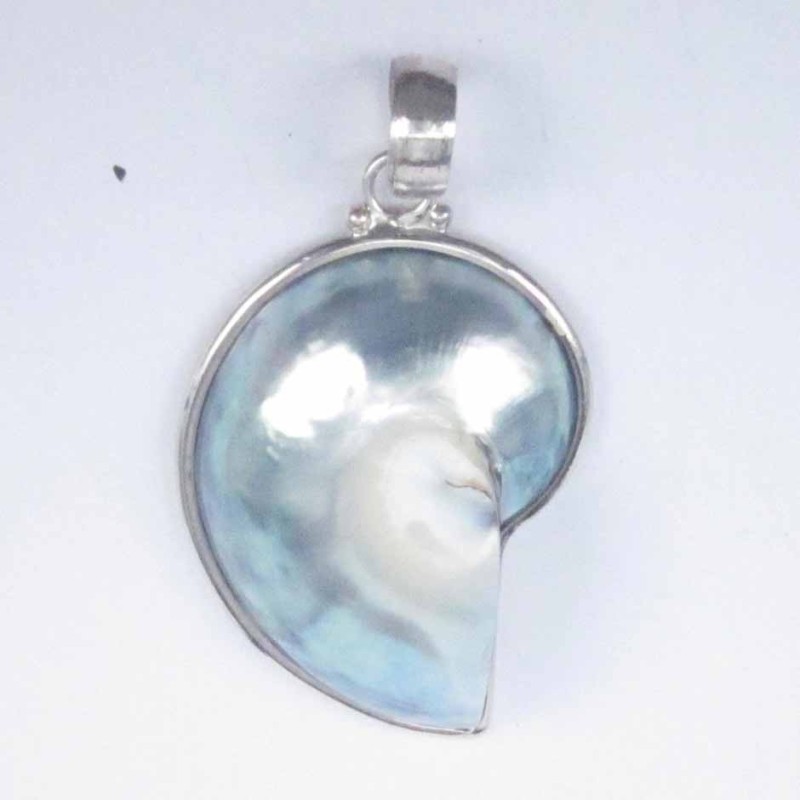 Pendant nauthilus small grey