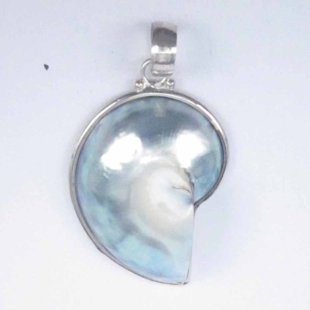 Pendant nauthilus small grey