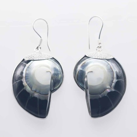 Earring  Nautilus 26x36 Shell