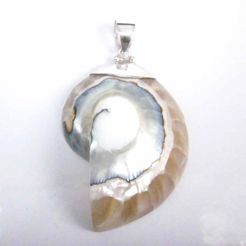 Pendant Nautilus Shell