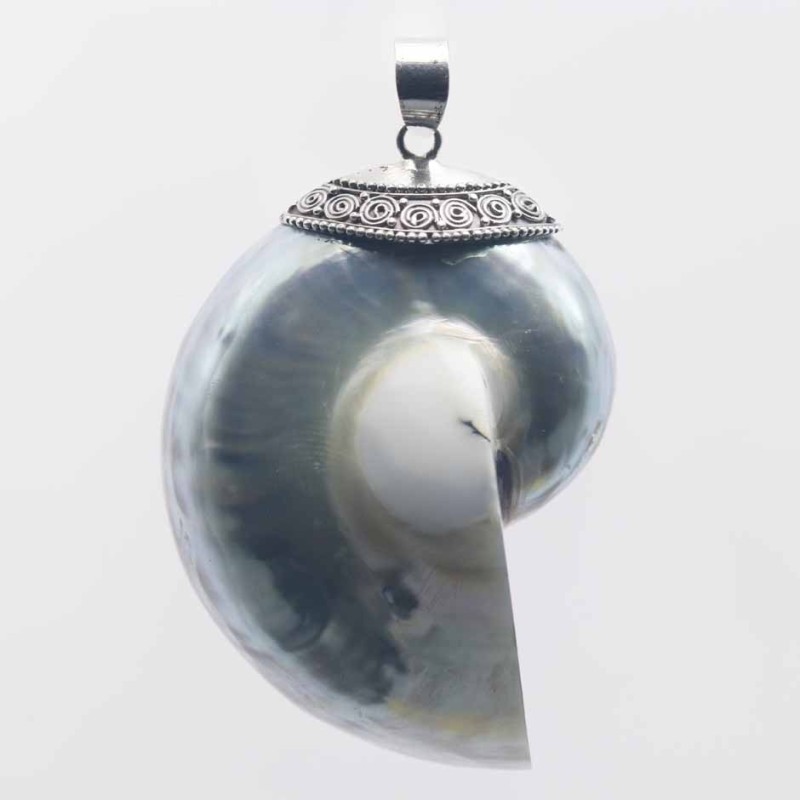Pendant Nautilus 38x55mm. Shell Pendant Nautilus 38x55mm. Shell