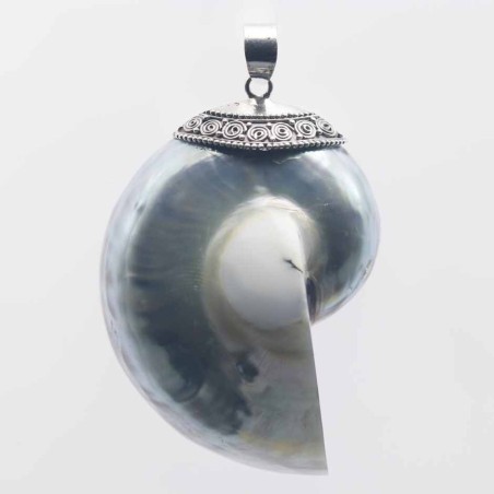 Pendant Nautilus 38x55mm. Shell