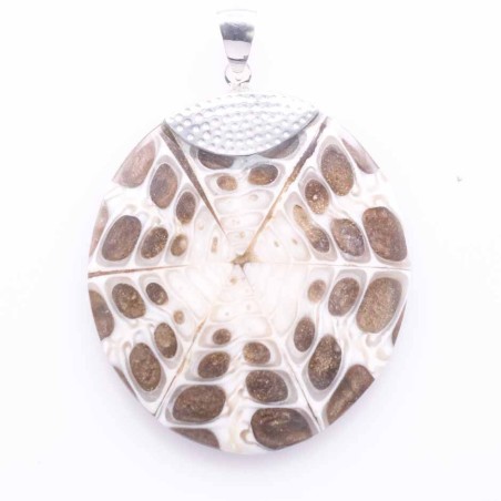 Pendant Round Mix Shell