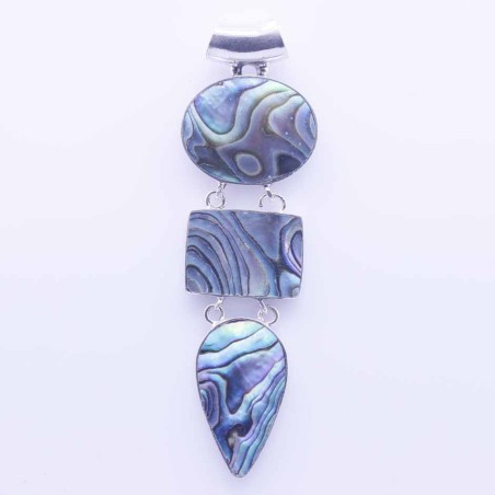 Pendant Mix Forms Abalon Shell