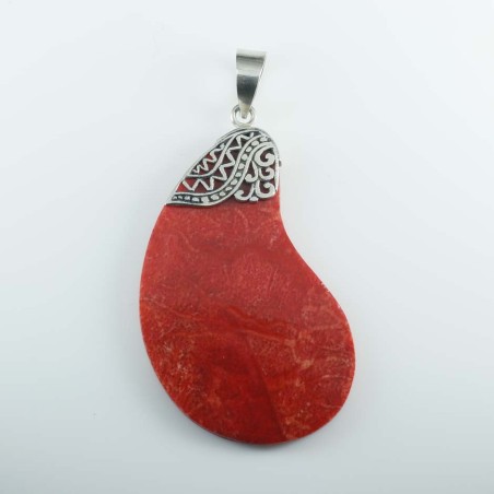 Pendant Drop Coral