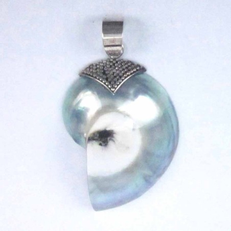 Pend. Nauthilus Shell