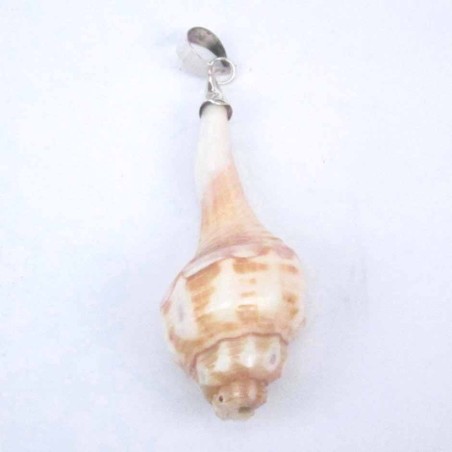 Pend. Spital Cating Shell