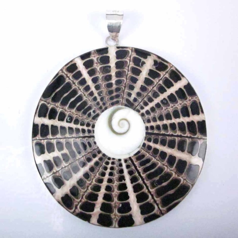 Pend. Round Shell Pend. Round Shell
