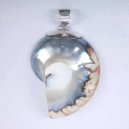 Pend. nautilus Filiphine Shell