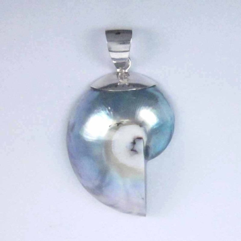 Pend. nautilus Filiphine Shell Pend. nautilus Filiphine Shell