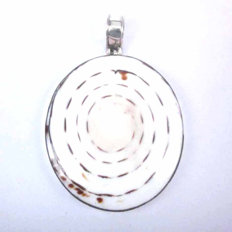 Pendant Round Mix Shell