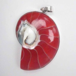 Pendant Nautilus Shell