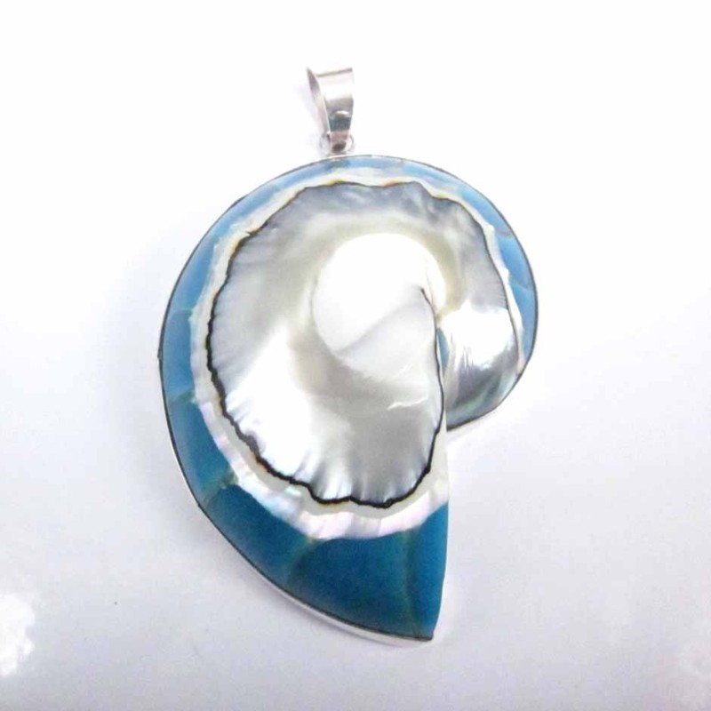 Pendant Nautilus Shell