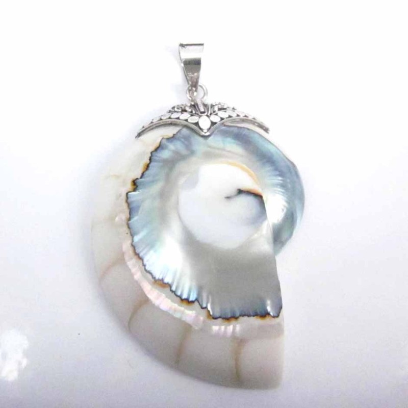 Pendant Nautilus Shell