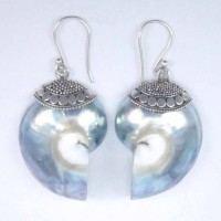Earring Shells Nautilus